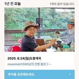피드에 업로드 된 이미지