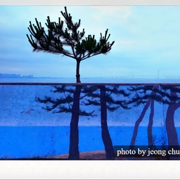 피드에 업로드 된 이미지