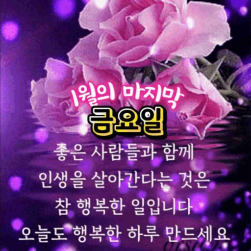 피드 이미지