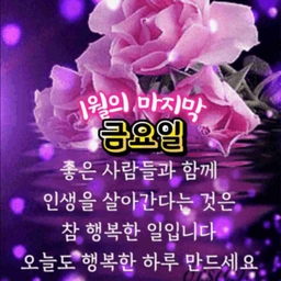 피드에 업로드 된 이미지