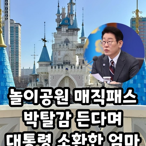 피드 이미지