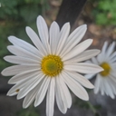 공지사항 작성자 프로필