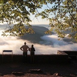 피드에 업로드 된 이미지