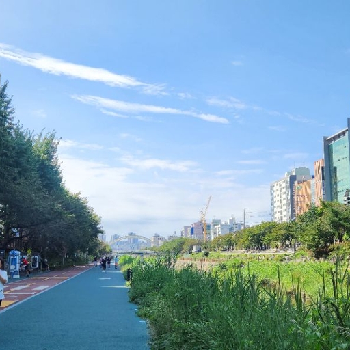 피드 이미지