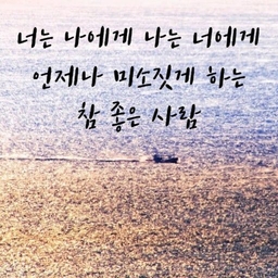 피드에 업로드 된 이미지