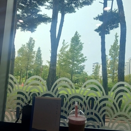 피드에 업로드 된 이미지