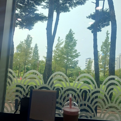 피드 이미지
