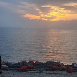 피드에 업로드 된 이미지