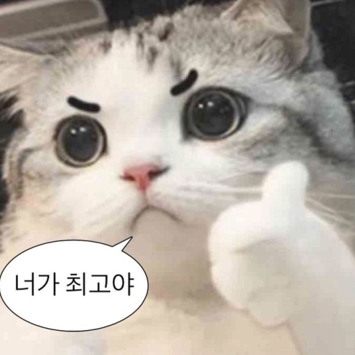 피드 이미지