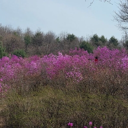 피드에 업로드 된 이미지