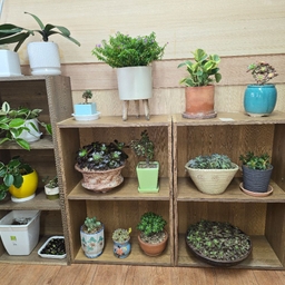 피드에 업로드 된 이미지