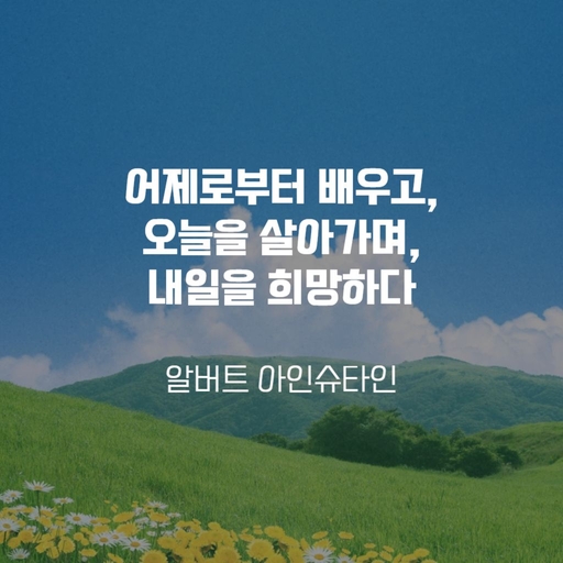 피드 이미지
