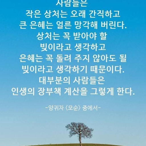 피드 이미지