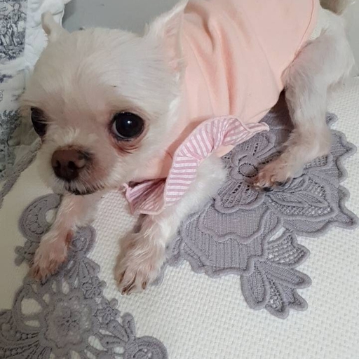 피드 이미지