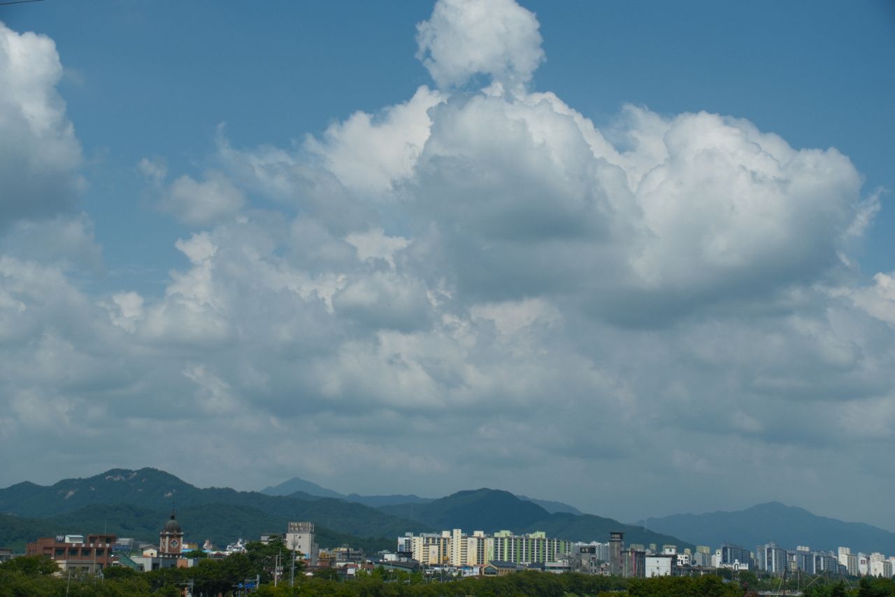 피드에 업로드 된 이미지