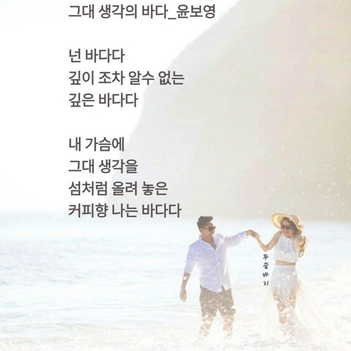 피드 이미지