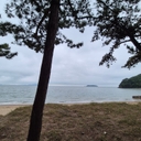 멤버 프로필
