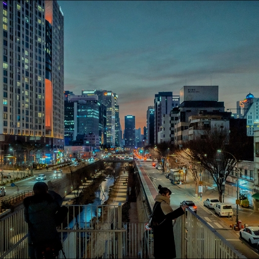 피드 이미지