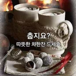 피드에 업로드 된 이미지