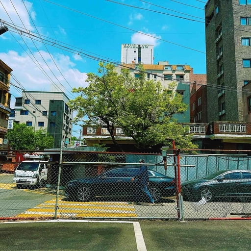 피드 이미지