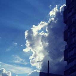 피드에 업로드 된 이미지