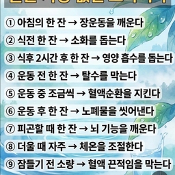 피드에 업로드 된 이미지