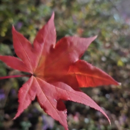 피드에 업로드 된 이미지