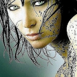 피드에 업로드 된 이미지