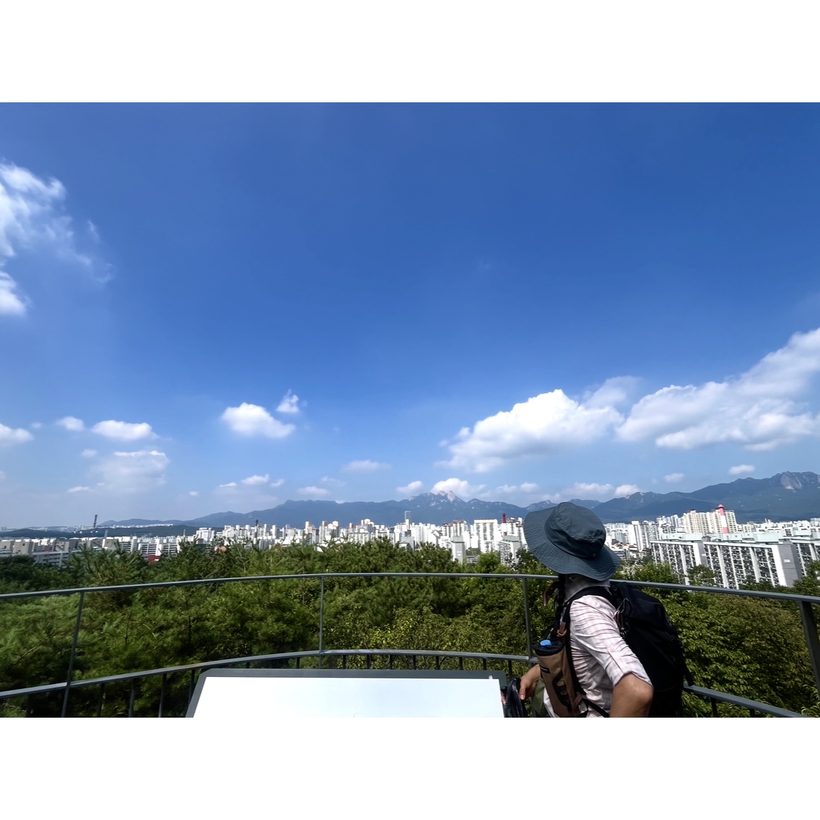 피드 이미지