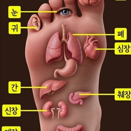 피드에 업로드 된 이미지