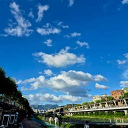 피드에 업로드 된 이미지