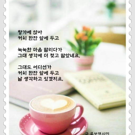 피드 이미지