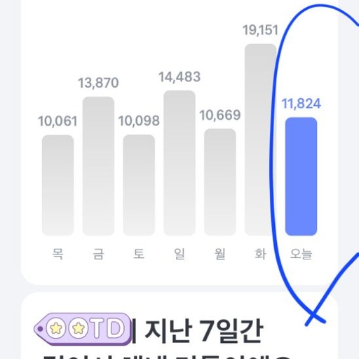 피드 이미지