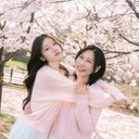 멤버 프로필