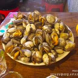 피드에 업로드 된 이미지