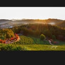 피드 작성자 프로필