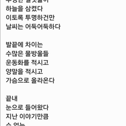 피드에 업로드 된 이미지