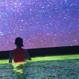 피드에 업로드 된 이미지