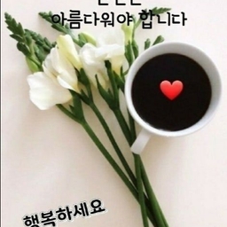 피드에 업로드 된 이미지