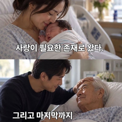 피드 이미지