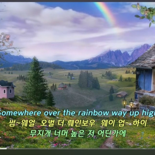 피드 이미지