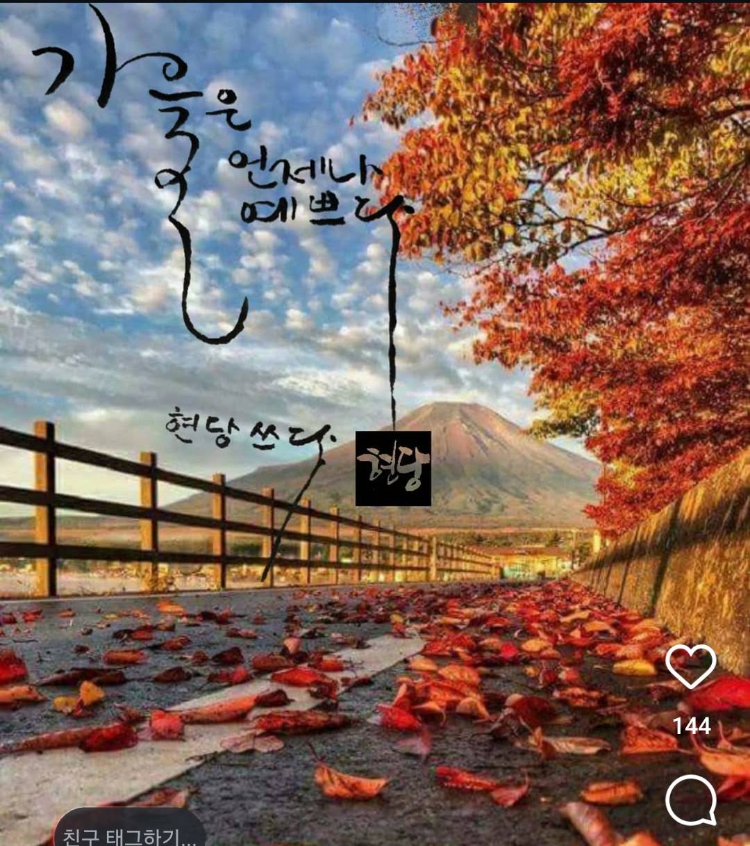 피드 이미지