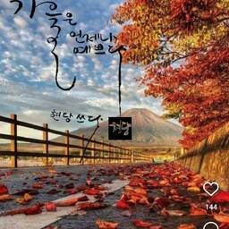 피드에 업로드 된 이미지