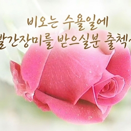 피드에 업로드 된 이미지