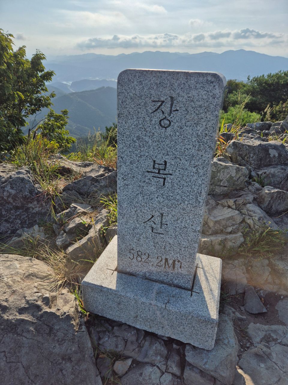피드 이미지