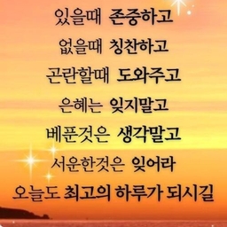 피드에 업로드 된 이미지