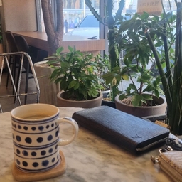 피드에 업로드 된 이미지