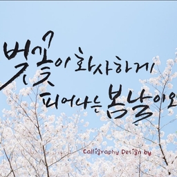 피드에 업로드 된 이미지