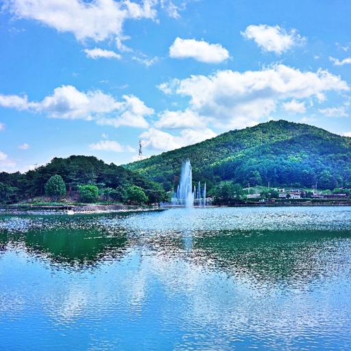 피드 이미지