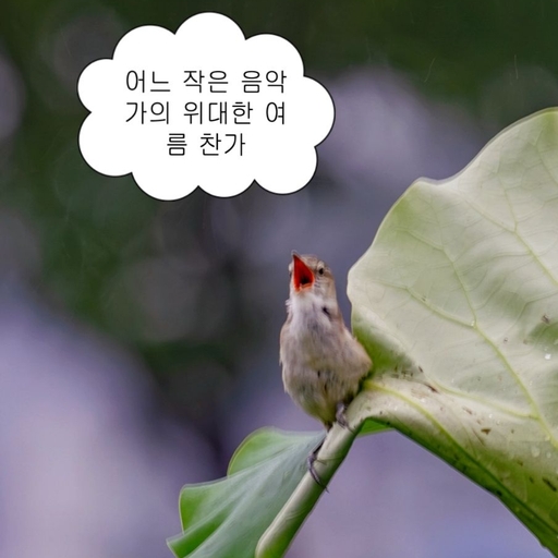 피드 이미지